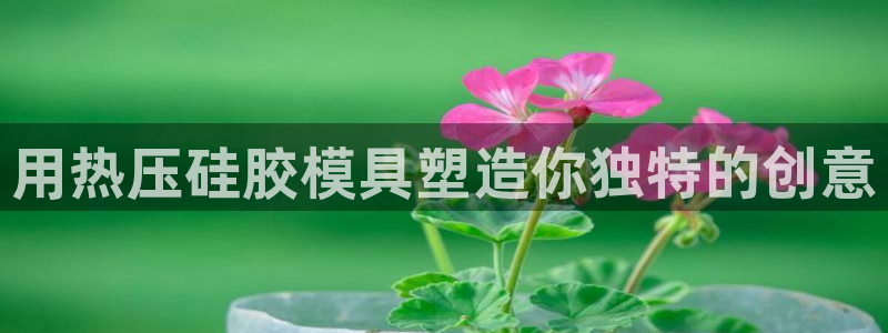 易倍单词登录网站