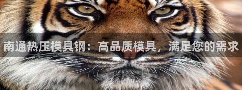 易倍纤使用方法：南通热压模具钢：高品质模具，满足您的需求