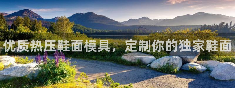 易倍电竞,有球必应