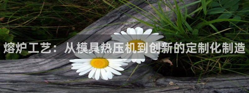 易倍申厂家：熔炉工艺：从模具热压机到创新的定制化制造