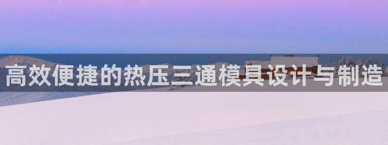 易倍网络技术有限公司是干嘛的:高效便捷的热压三通模具设计