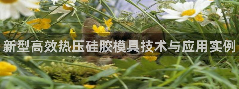 易倍单词官方网站的:新型高效热压硅胶模具技术与应用实例