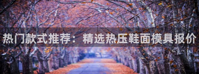 emc易赔：热门款式推荐：精选热压鞋面模具报价