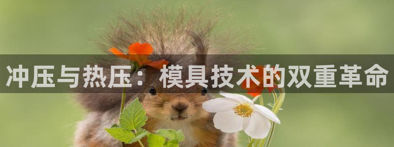 emc高频比低频好改：冲压与热压：模具技术的双重革命