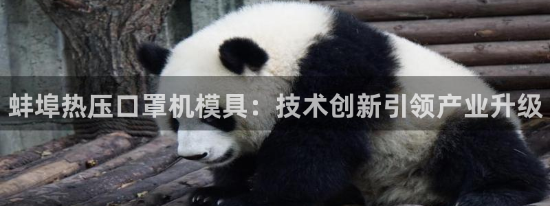 易倍企业管理软件：蚌埠热压口罩机模具：技术创新引领产业升