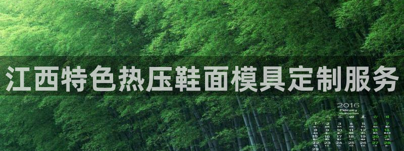 易倍申价格是多少：江西特色热压鞋面模具定制服务