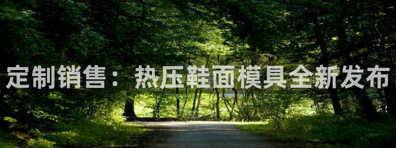 易倍EMC网址：定制销售：热压鞋面模具全新发布