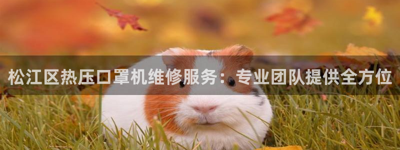 emc易倍账号异常：松江区热压口罩机维修服务：专业团队提