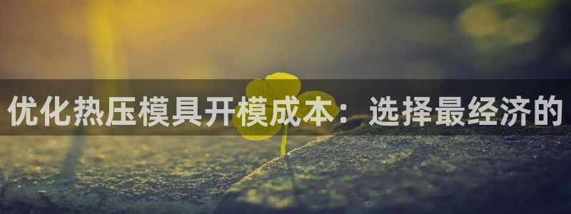 易倍全站：优化热压模具开模成本：选择最经济的