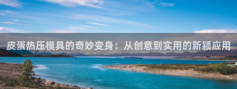 emc服务器是什么：皮蛋热压模具的奇妙变身：从创意到实用