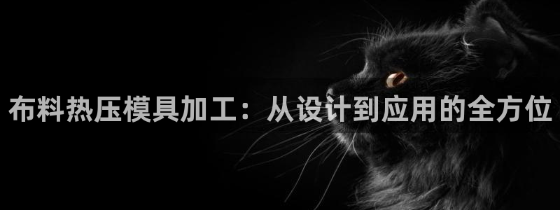 易倍网络技术有限公司是干嘛的：布料热压模具加工：从设计到