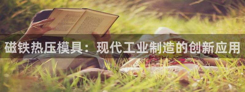 易倍emc网址网页版本登陆：磁铁热压模具：现代工业制造的