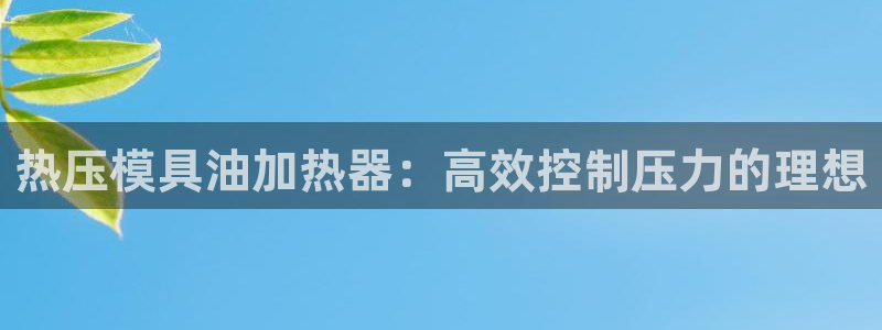 易倍企业管理软件:热压模具油加热器:高效控制压力的理想