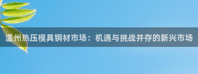 易倍电竞,有球必应：温州热压模具钢材市场：机遇与挑战并存