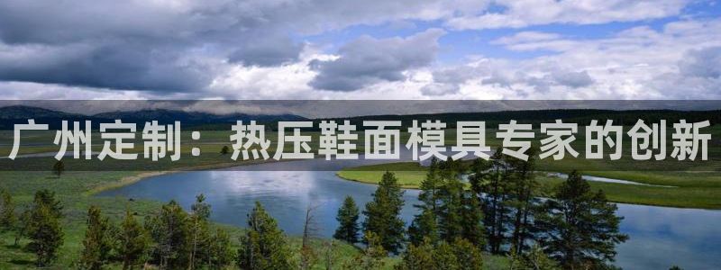 EMC倍频系数：广州定制：热压鞋面模具专家的创新