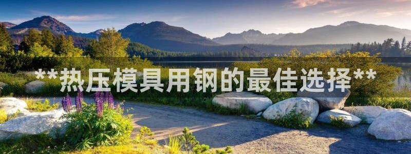 易倍纤酵素效果好吗