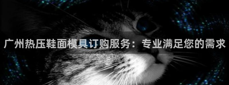 emc服务器是什么：广州热压鞋面模具订购服务：专业满足您