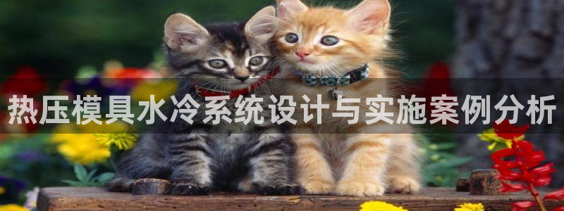 易倍申的副作用：热压模具水冷系统设计与实施案例分析