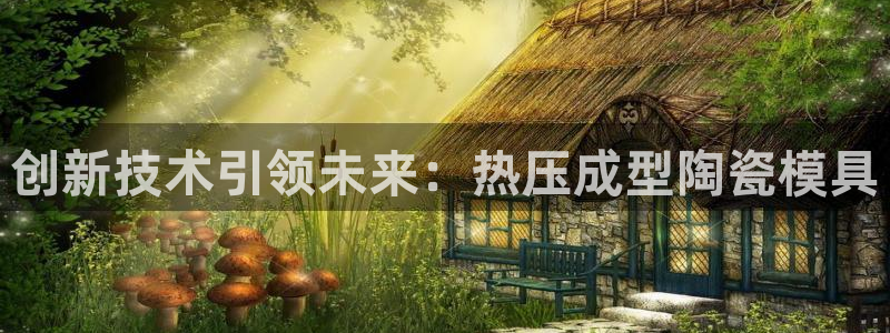 易倍企业管理软件怎么样：创新技术引领未来：热压成型陶瓷模