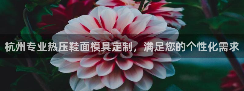 emc易倍官网首页进入:杭州专业热压鞋面模具定制,满足您