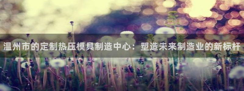 易倍纤多少钱：温州市的定制热压模具制造中心：塑造未来制造