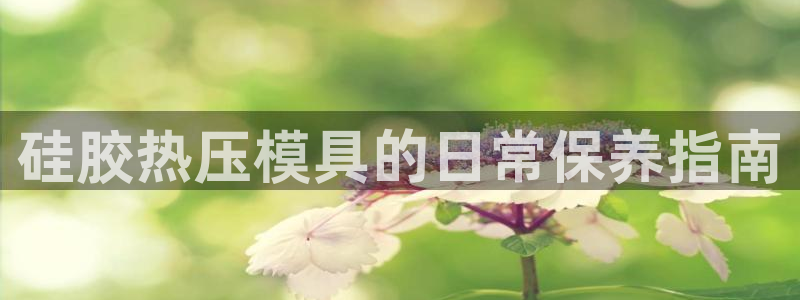 易倍单词app官网：硅胶热压模具的日常保养指南