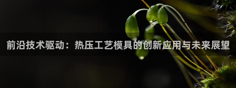 易倍单词如何下载：前沿技术驱动：热压工艺模具的创新应用与