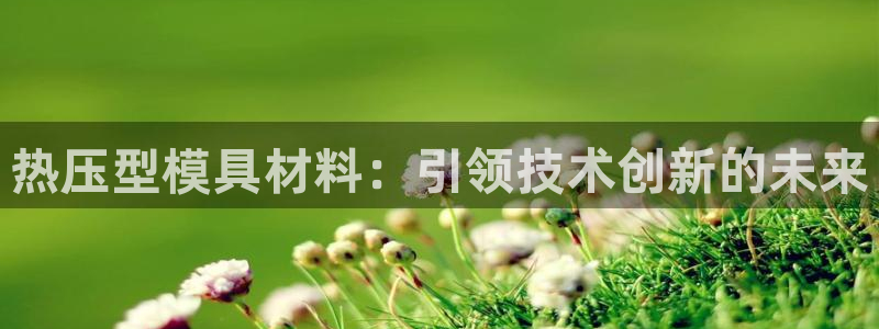 易倍申价格:热压型模具材料:引领技术创新的未来