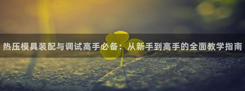 易倍纤官网：热压模具装配与调试高手必备：从新手到高手的全