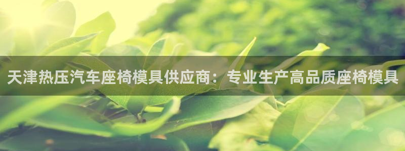 emc易倍首存500送球衣：天津热压汽车座椅模具供应商：