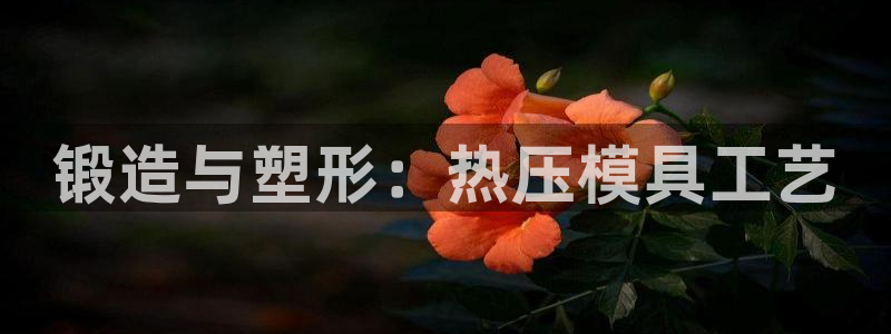 emc平台：锻造与塑形：热压模具工艺