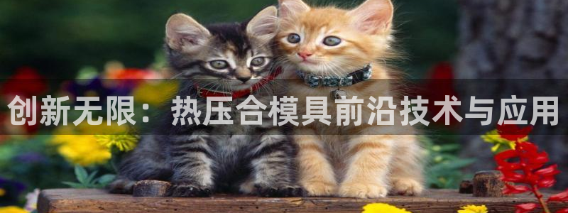 emc高频比低频好改