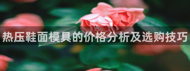 emc全站下载地址：热压鞋面模具的价格分析及选购技巧