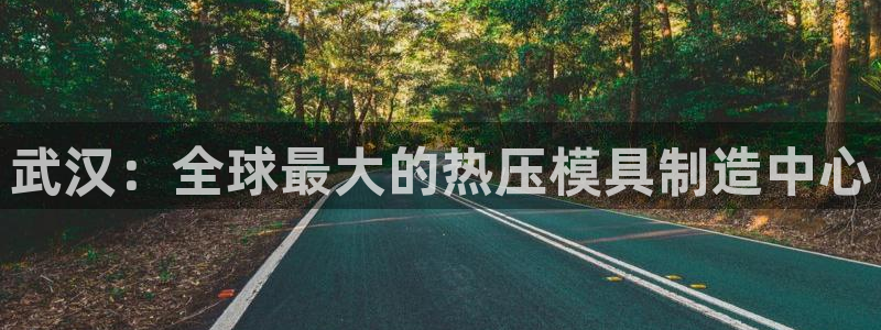 易倍单词官方网站的