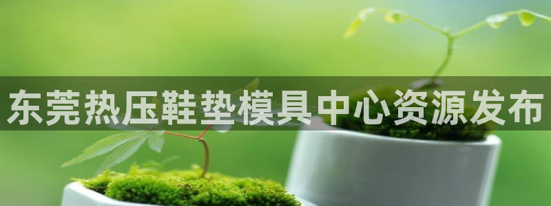 易倍达科技有限公司怎么样：东莞热压鞋垫模具中心资源发布