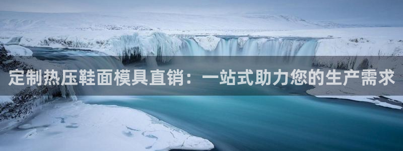 易倍单词软件：定制热压鞋面模具直销：一站式助力您的生产需