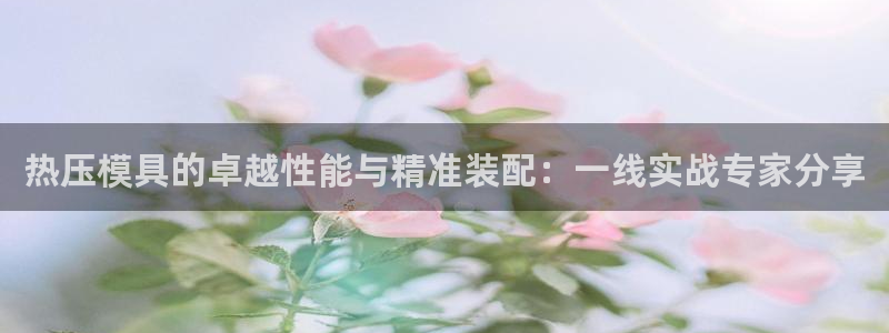 易倍申有用吗：热压模具的卓越性能与精准装配：一线实战专家