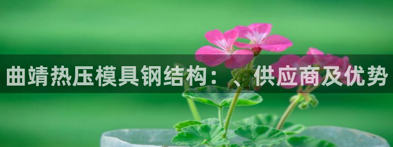 北京易倍思教育怎么样：曲靖热压模具钢结构：、供应商及优势